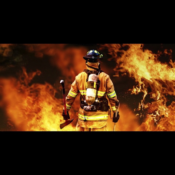 Meet your Posher, Cayden - Picture 1 of 1